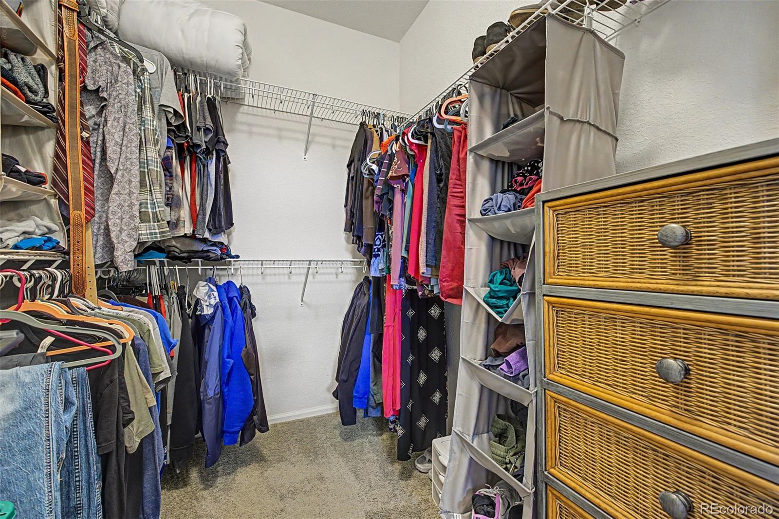MLS Image #20 for 176  whitehaven circle,highlands ranch, Colorado