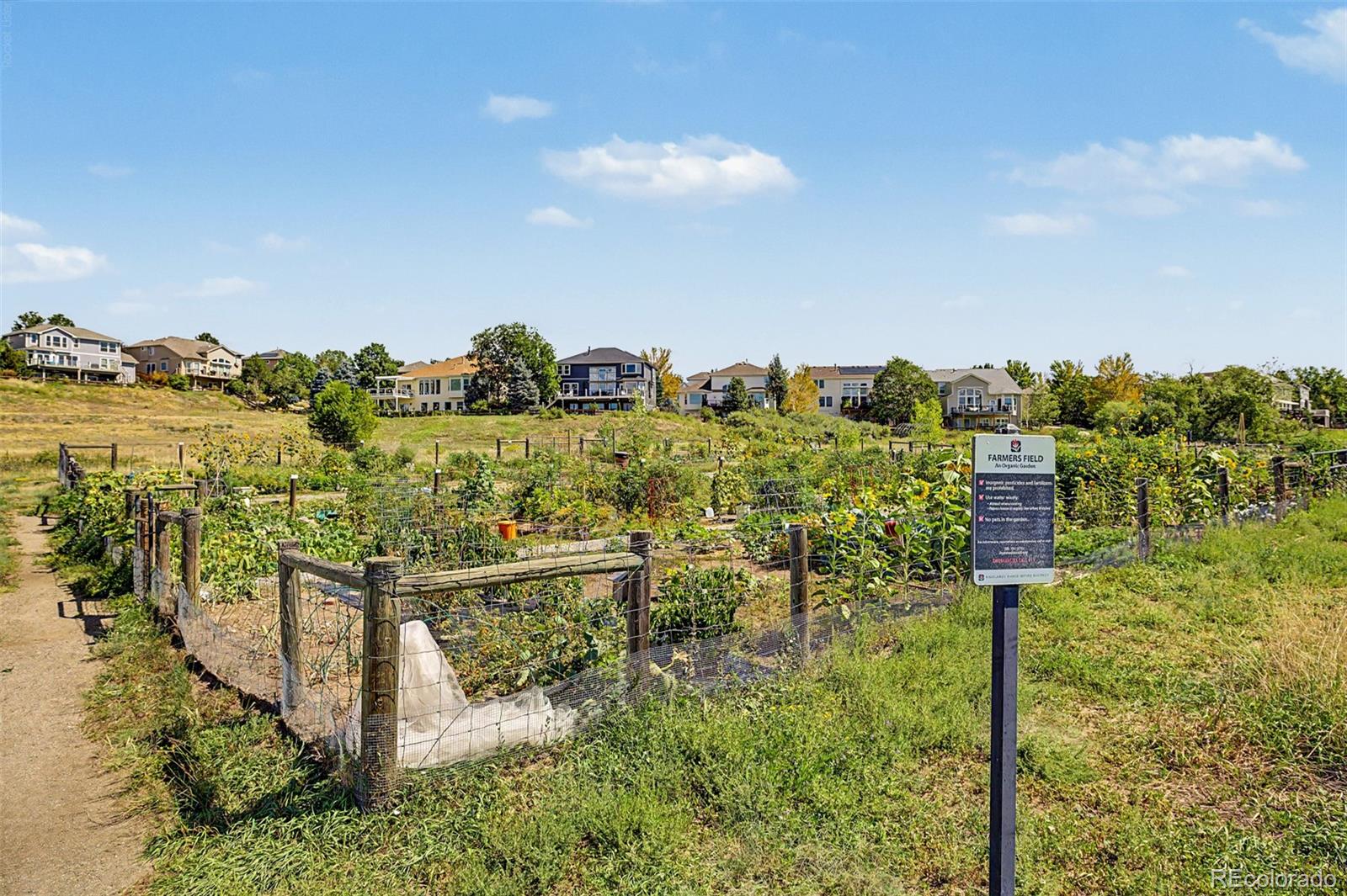 MLS Image #38 for 176  whitehaven circle,highlands ranch, Colorado