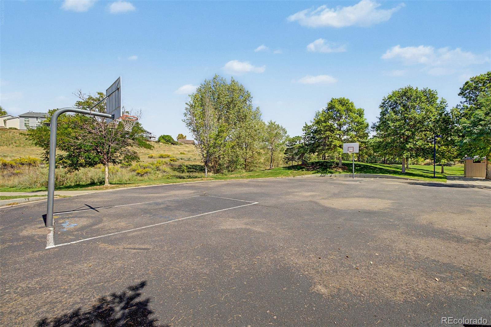 MLS Image #40 for 176  whitehaven circle,highlands ranch, Colorado