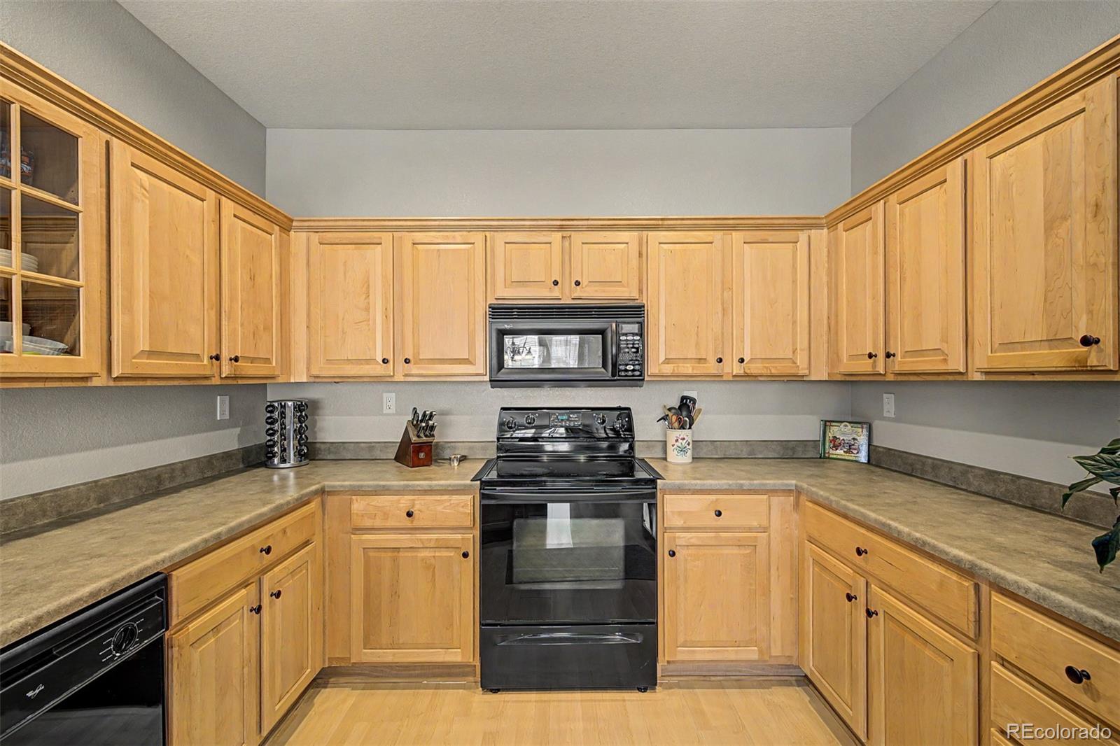 MLS Image #5 for 176  whitehaven circle,highlands ranch, Colorado