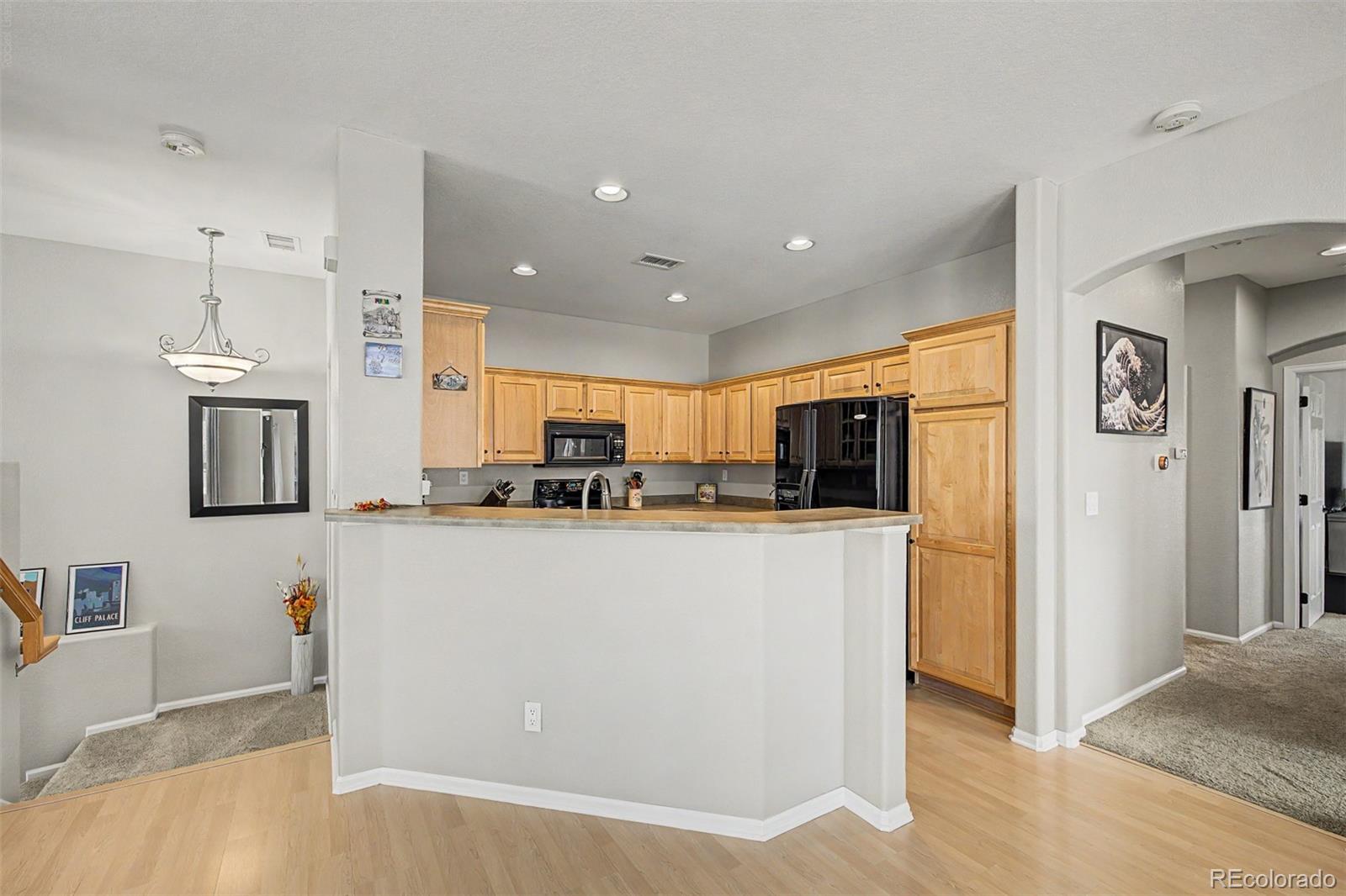 MLS Image #6 for 176  whitehaven circle,highlands ranch, Colorado