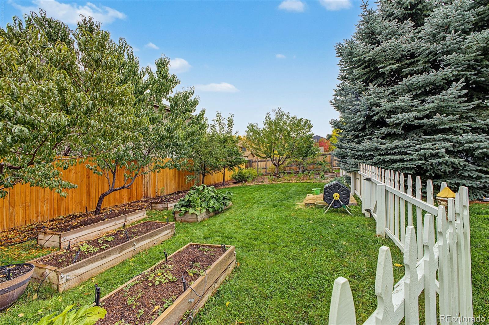 MLS Image #28 for 21885  whirlaway avenue,parker, Colorado