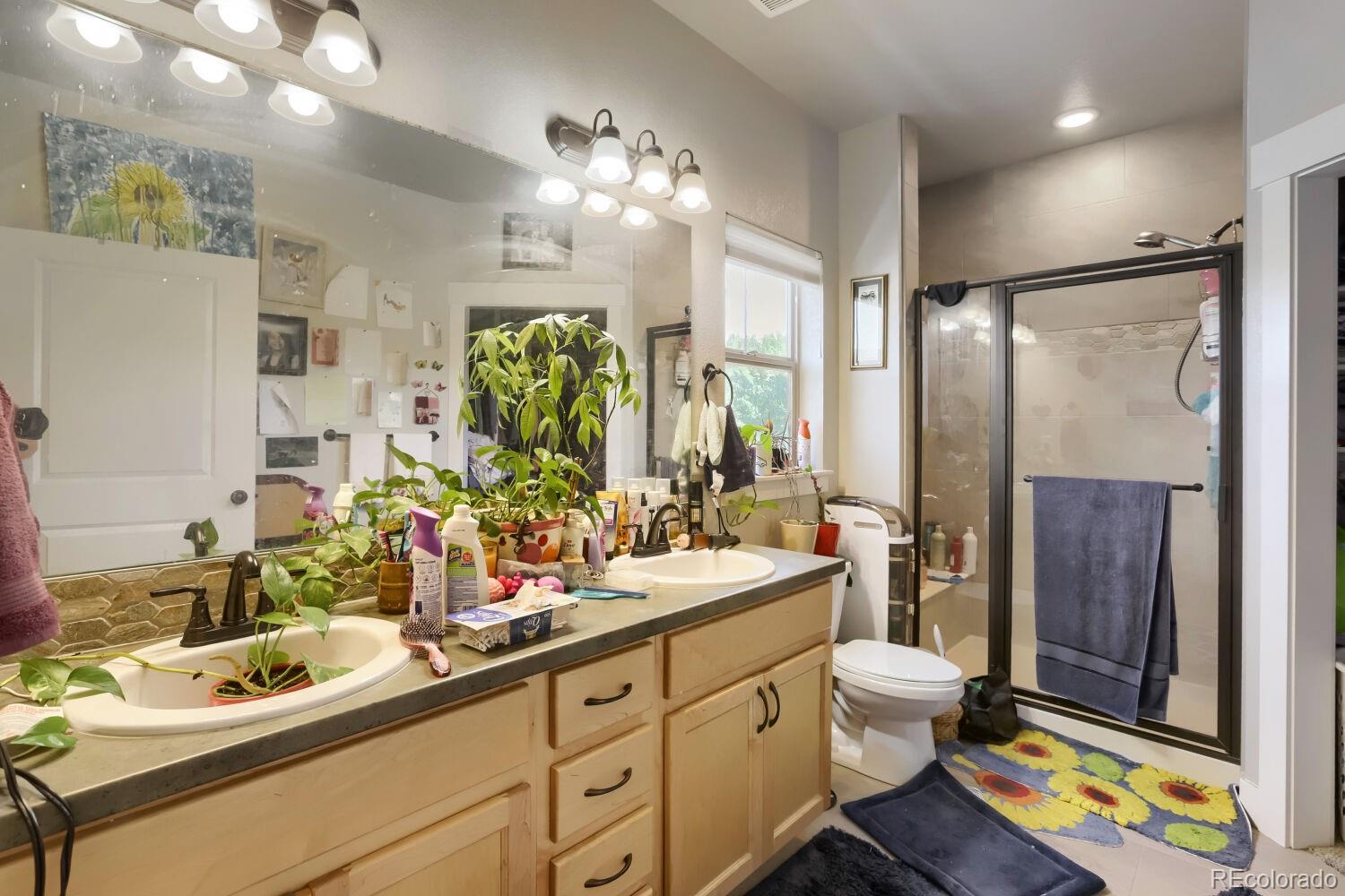 MLS Image #8 for 4612  hahns peak drive,loveland, Colorado