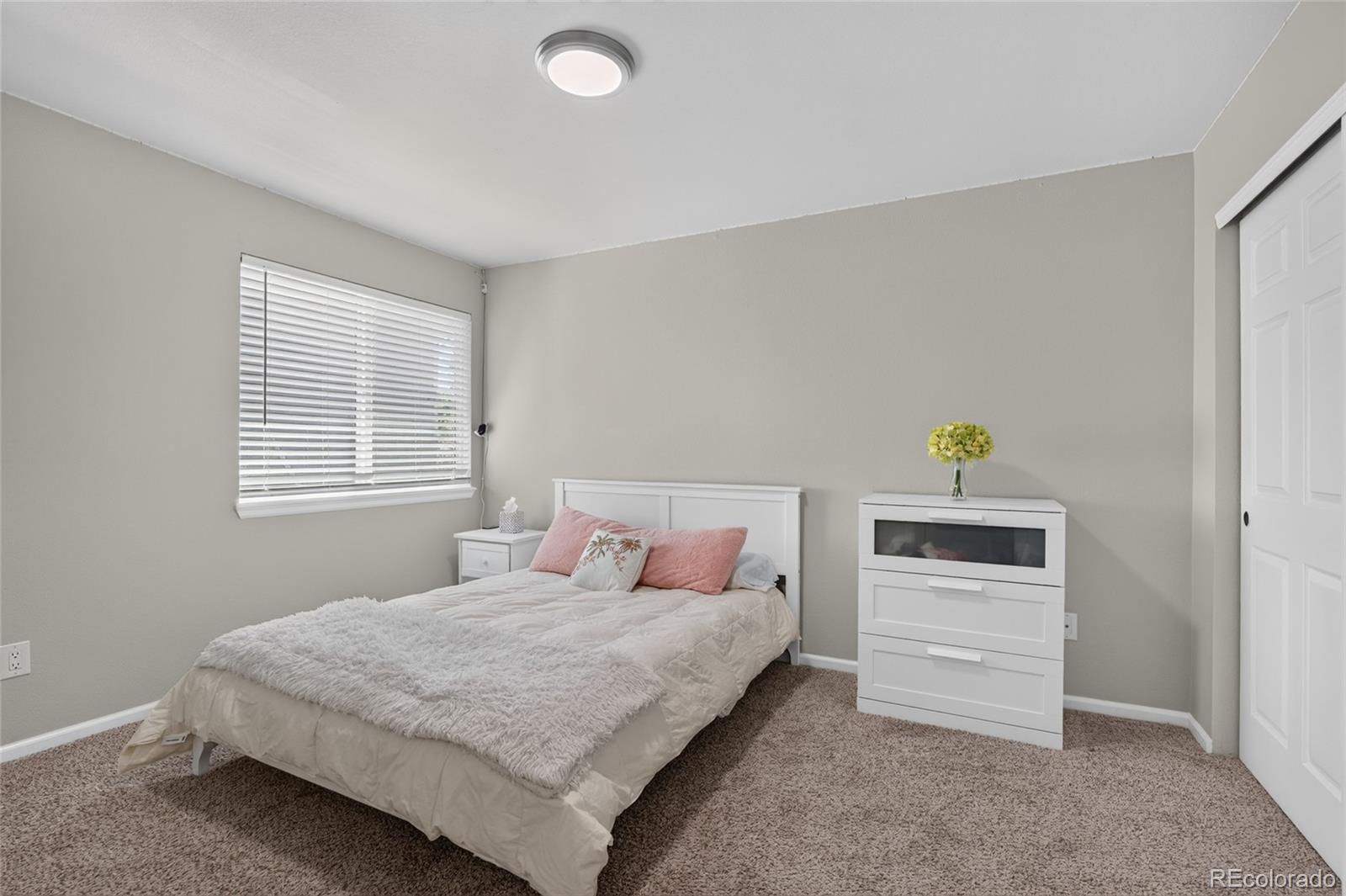 MLS Image #14 for 21716  silver meadow lane,parker, Colorado