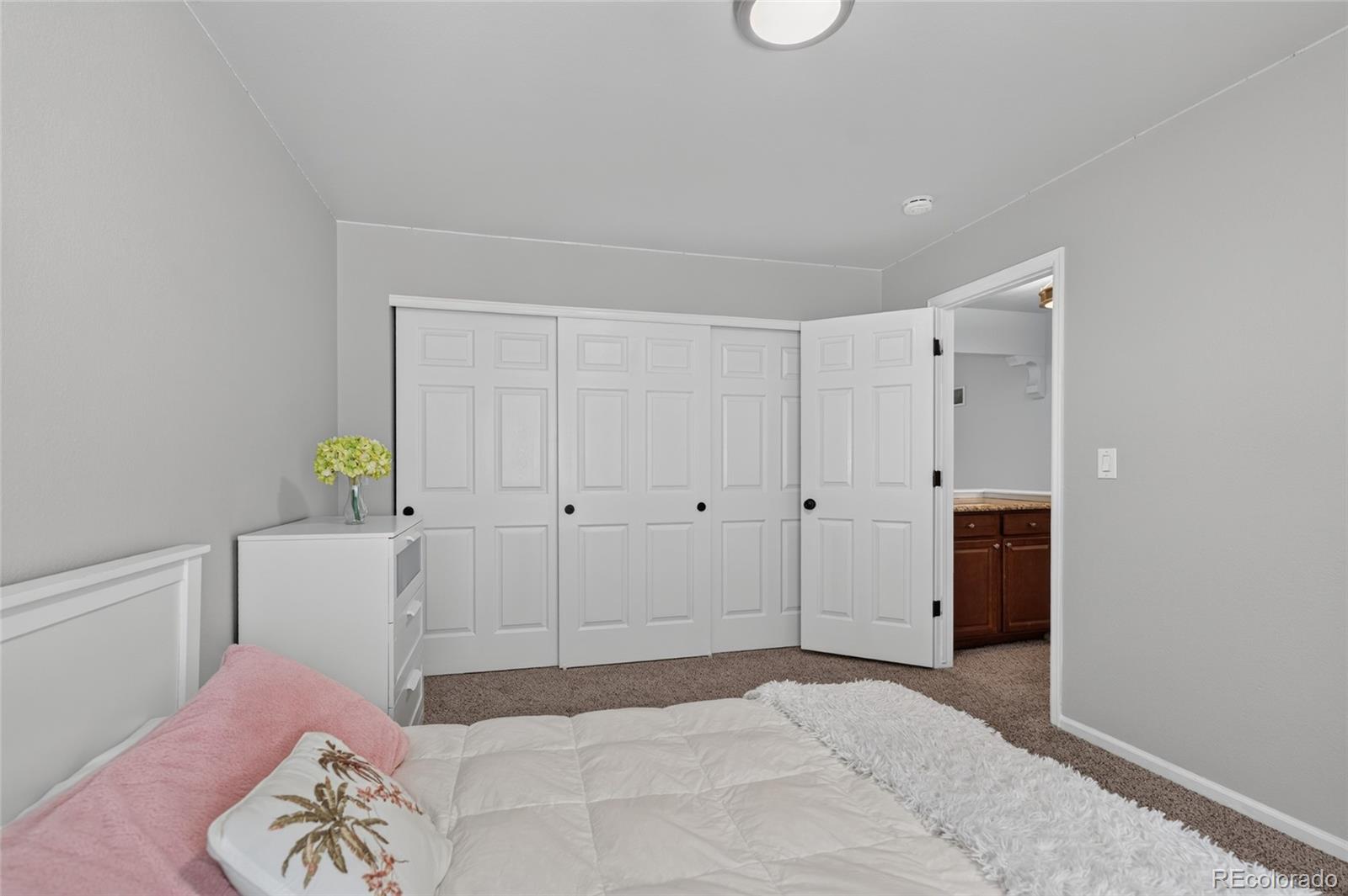 MLS Image #15 for 21716  silver meadow lane,parker, Colorado