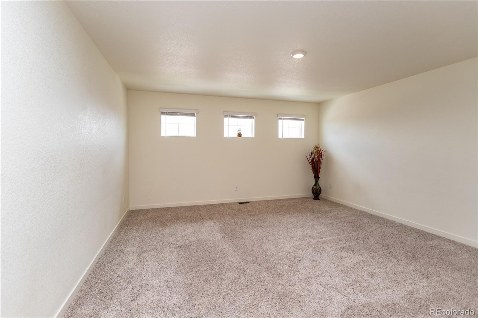 MLS Image #17 for 5214  janga drive,colorado springs, Colorado