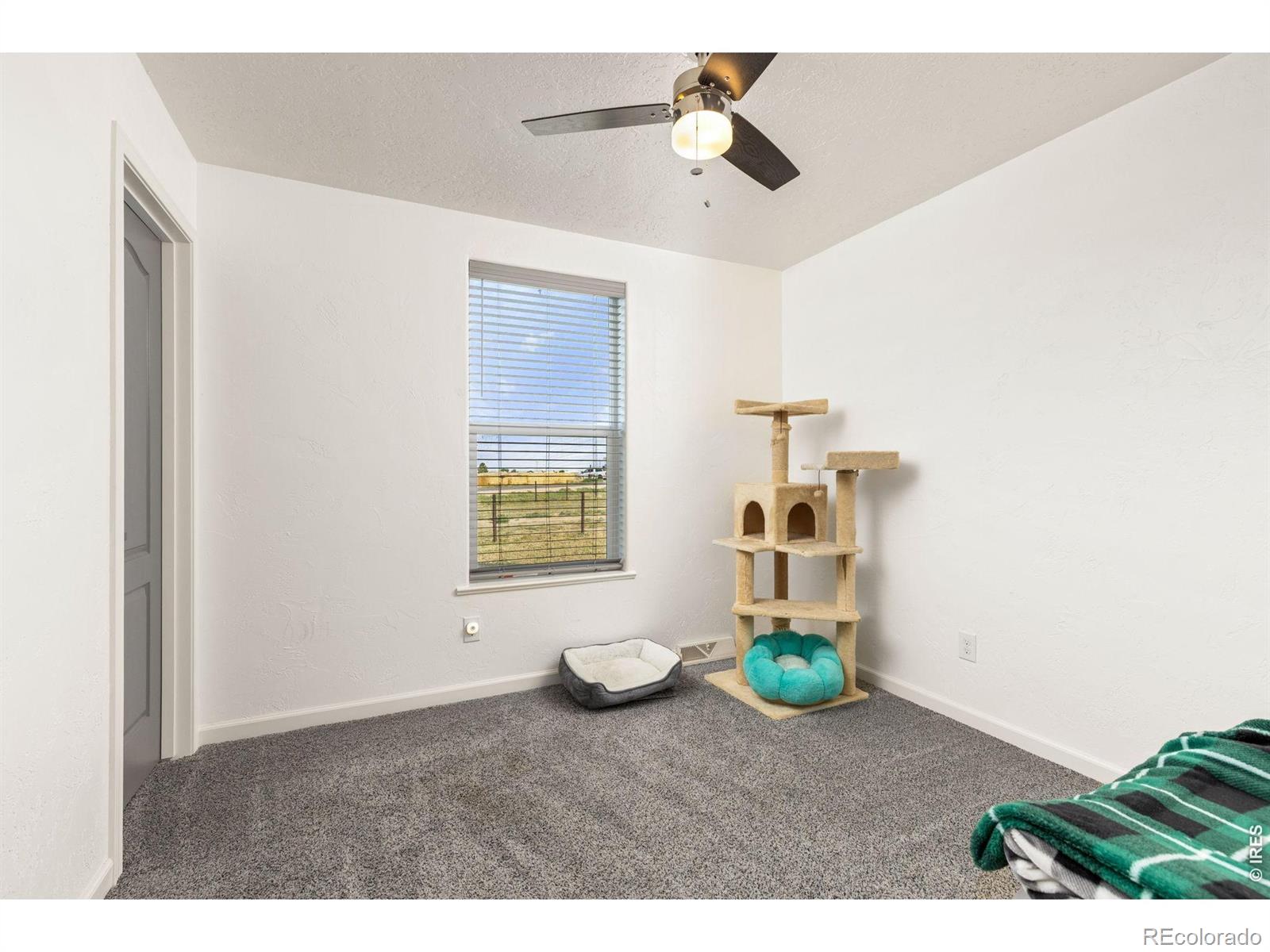 MLS Image #20 for 37101  county road 59 ,eaton, Colorado