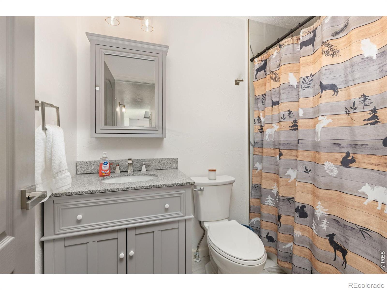 MLS Image #21 for 37101  county road 59 ,eaton, Colorado