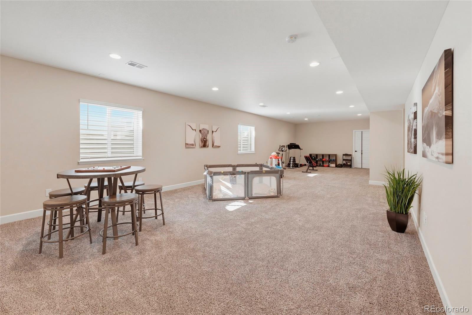 MLS Image #22 for 22622 e narrowleaf circle,aurora, Colorado