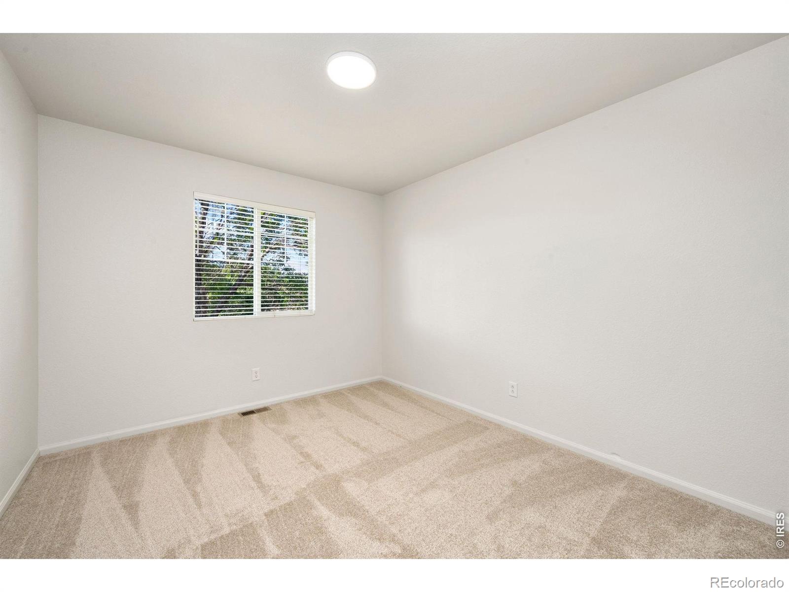 MLS Image #24 for 1596  angora drive,loveland, Colorado