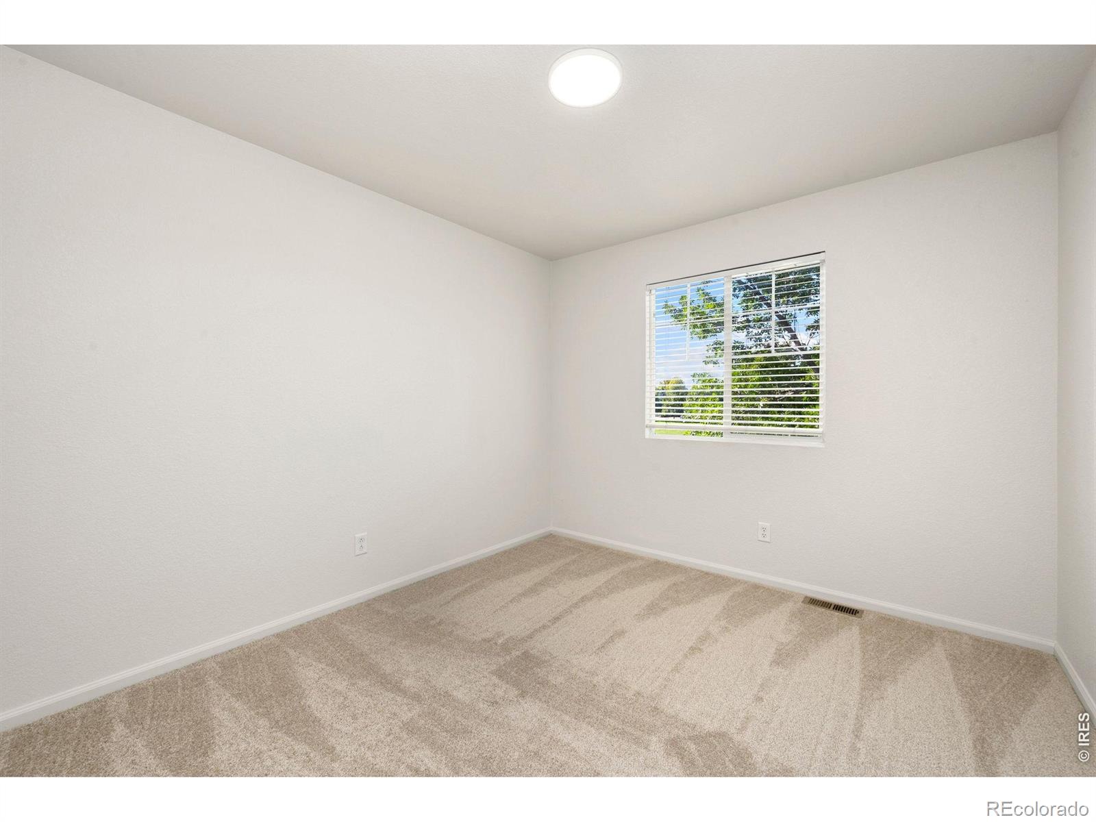 MLS Image #26 for 1596  angora drive,loveland, Colorado
