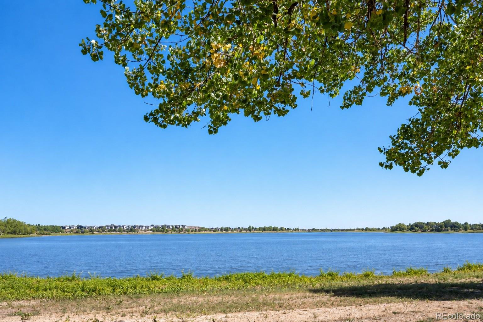 MLS Image #39 for 636  cove court,loveland, Colorado