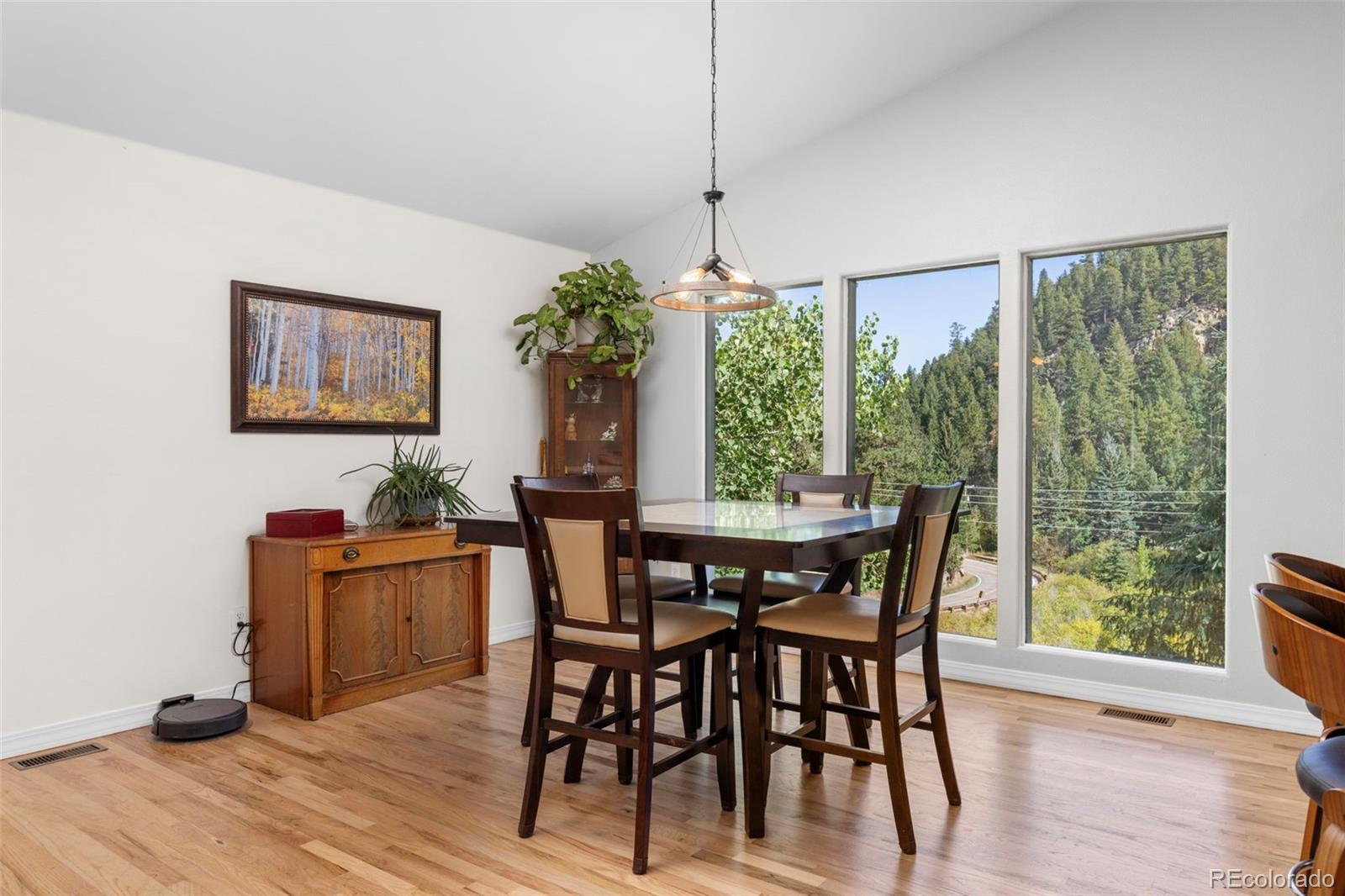 MLS Image #14 for 9552  pine springs drive,morrison, Colorado