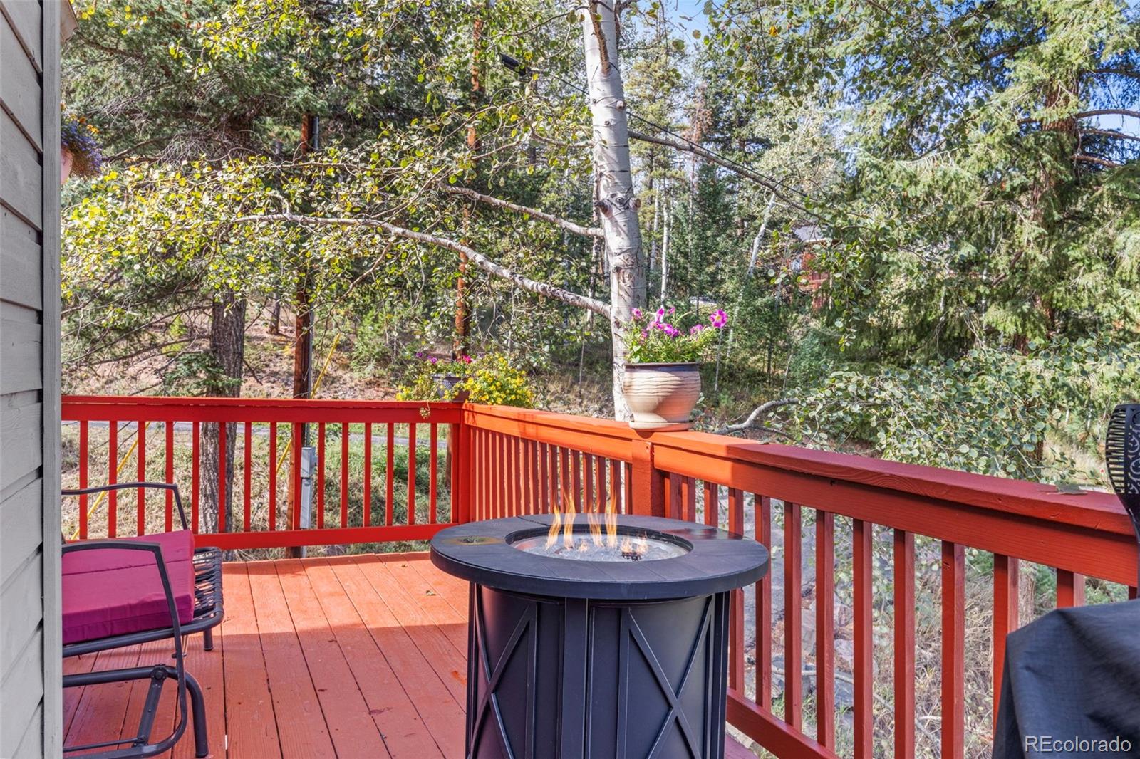 MLS Image #15 for 9552  pine springs drive,morrison, Colorado