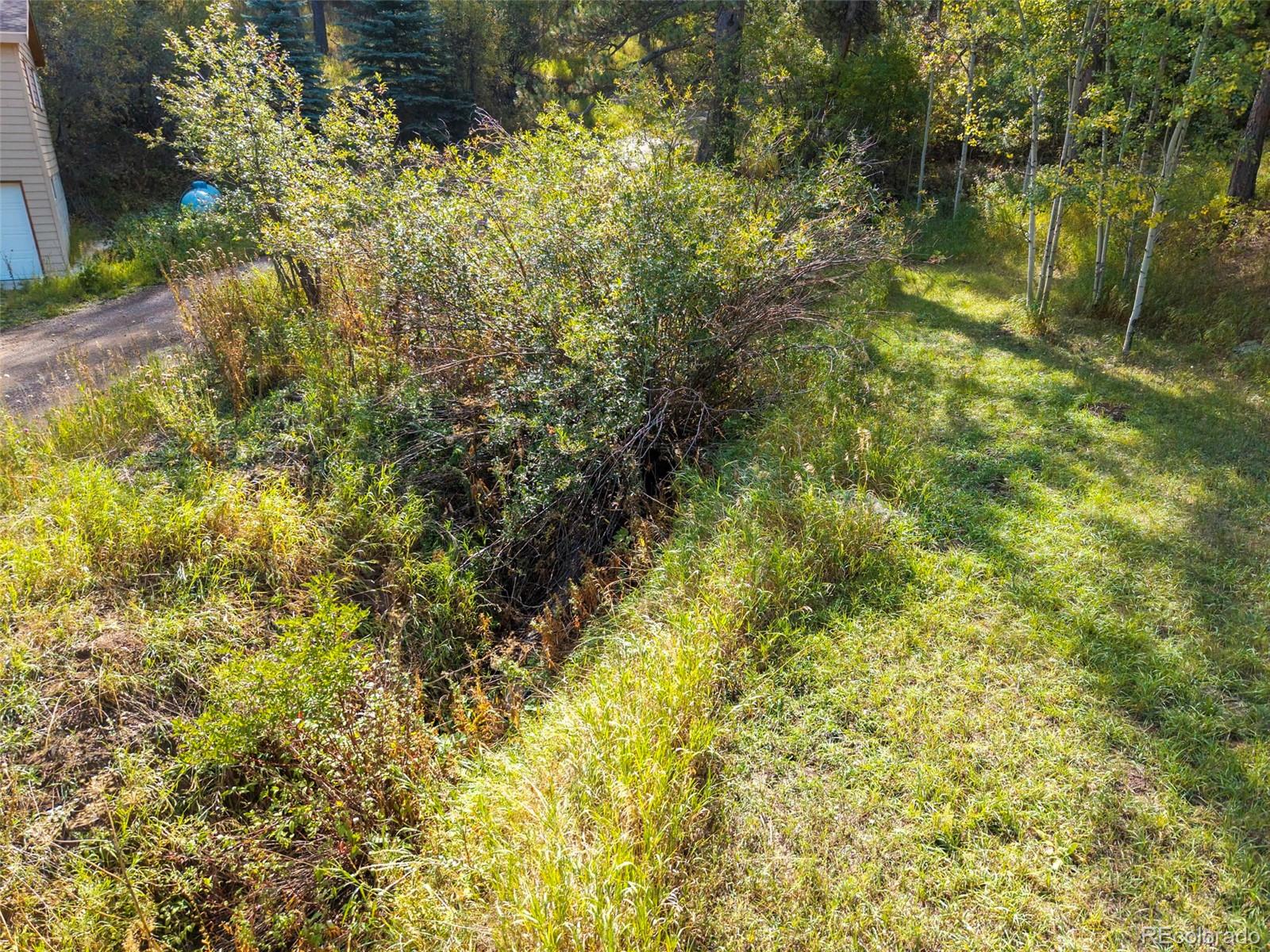 MLS Image #40 for 9552  pine springs drive,morrison, Colorado