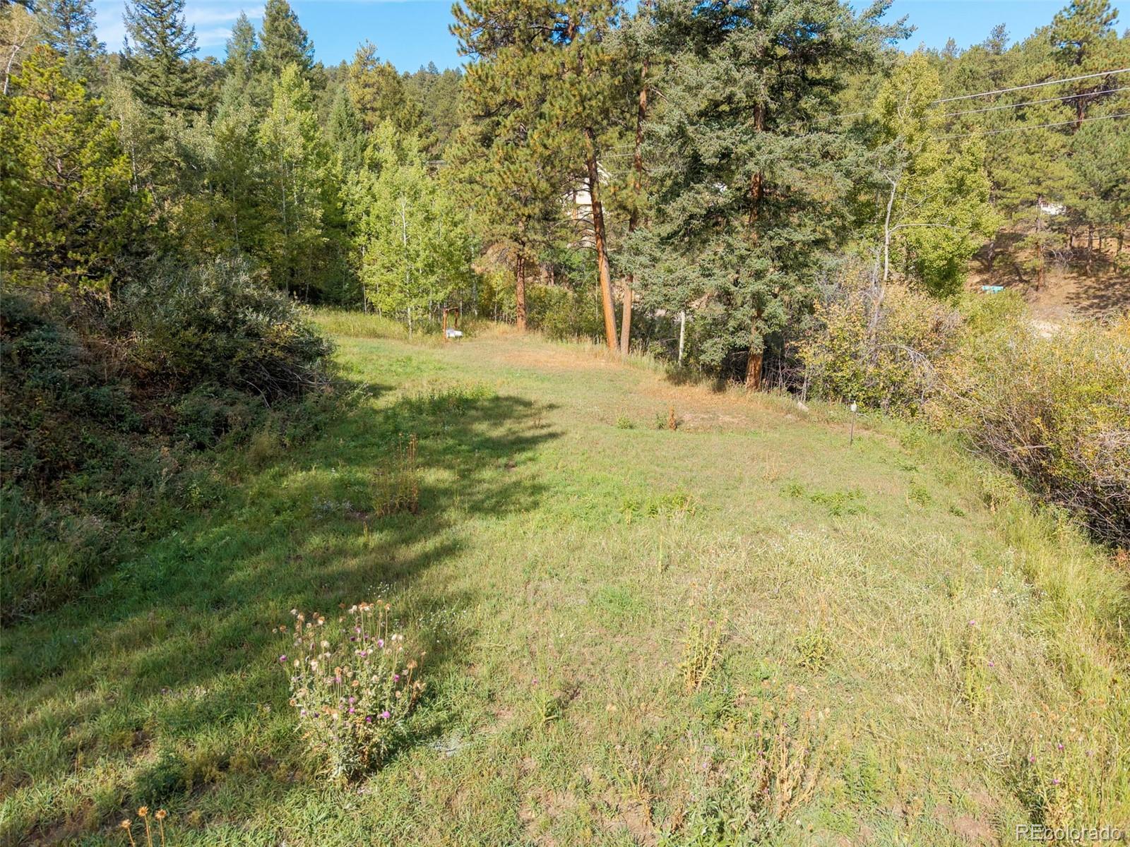 MLS Image #41 for 9552  pine springs drive,morrison, Colorado