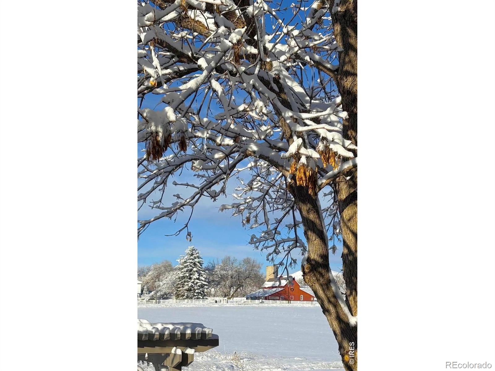 MLS Image #26 for 8983  prairie knoll drive,longmont, Colorado