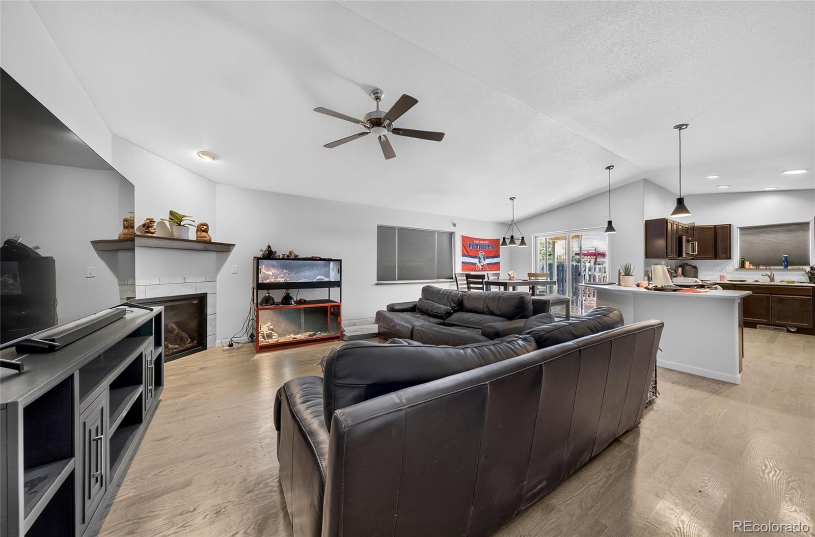 MLS Image #10 for 47 s jibbsam way,pueblo west, Colorado