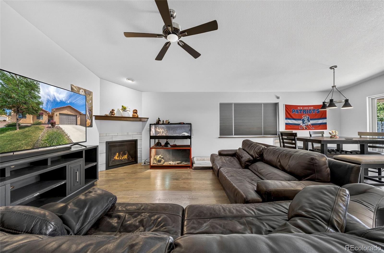 MLS Image #12 for 47 s jibbsam way,pueblo west, Colorado