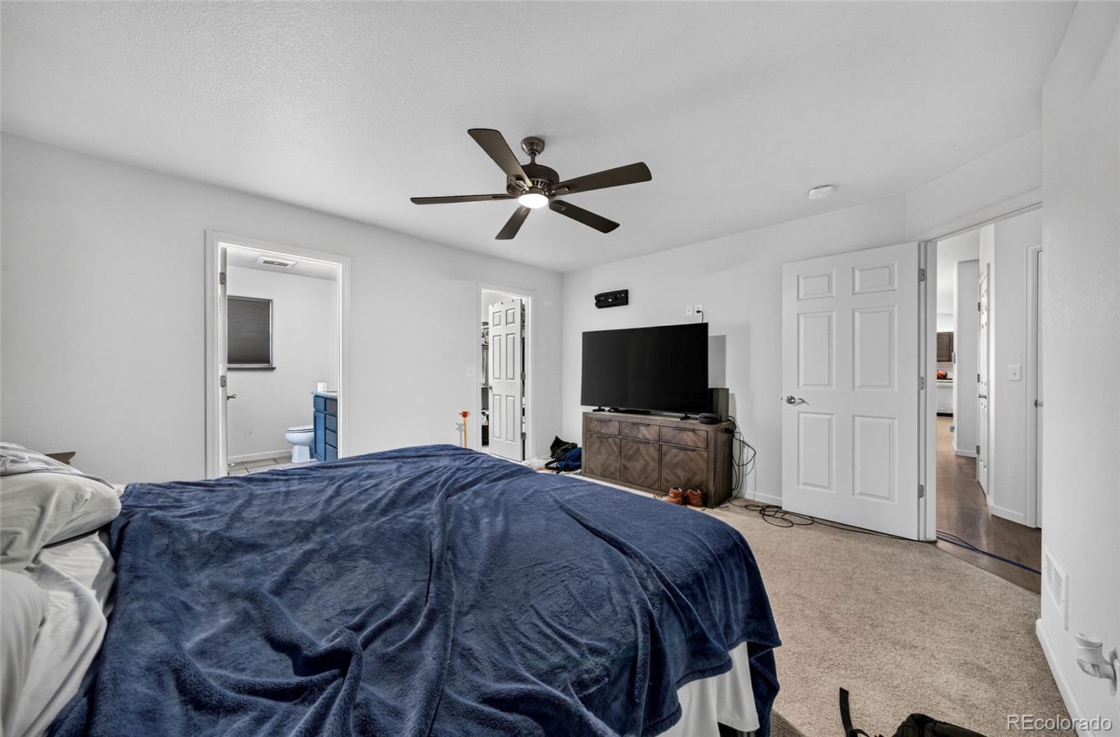 MLS Image #15 for 47 s jibbsam way,pueblo west, Colorado