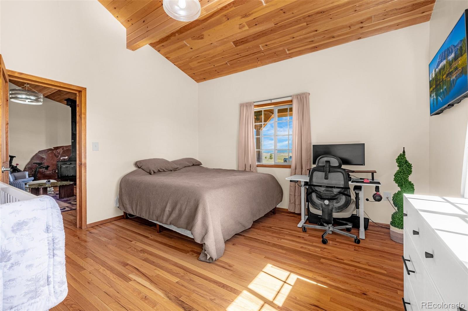 MLS Image #19 for 8591  black beaver road,hartsel, Colorado