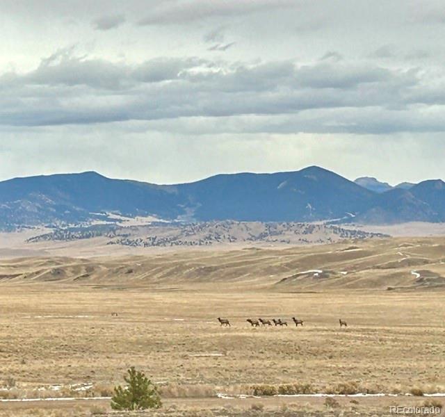 MLS Image #41 for 8591  black beaver road,hartsel, Colorado