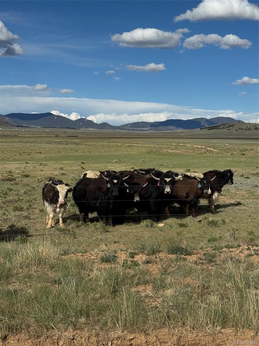 MLS Image #46 for 8591  black beaver road,hartsel, Colorado