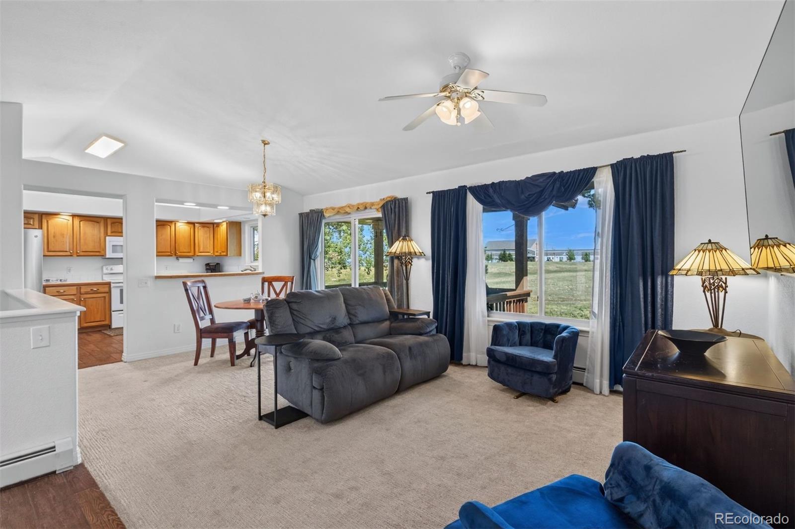 MLS Image #12 for 251  las lunas street,castle rock, Colorado