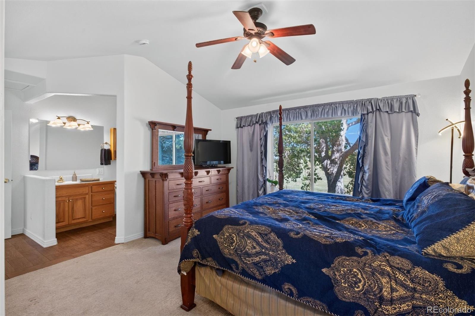 MLS Image #23 for 251  las lunas street,castle rock, Colorado