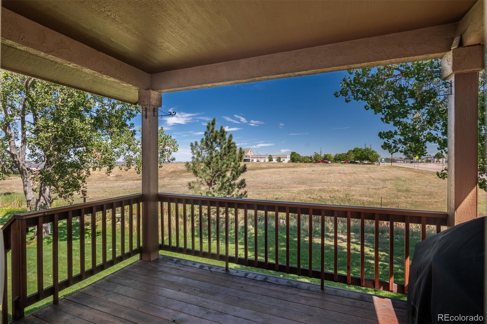 MLS Image #3 for 251  las lunas street,castle rock, Colorado