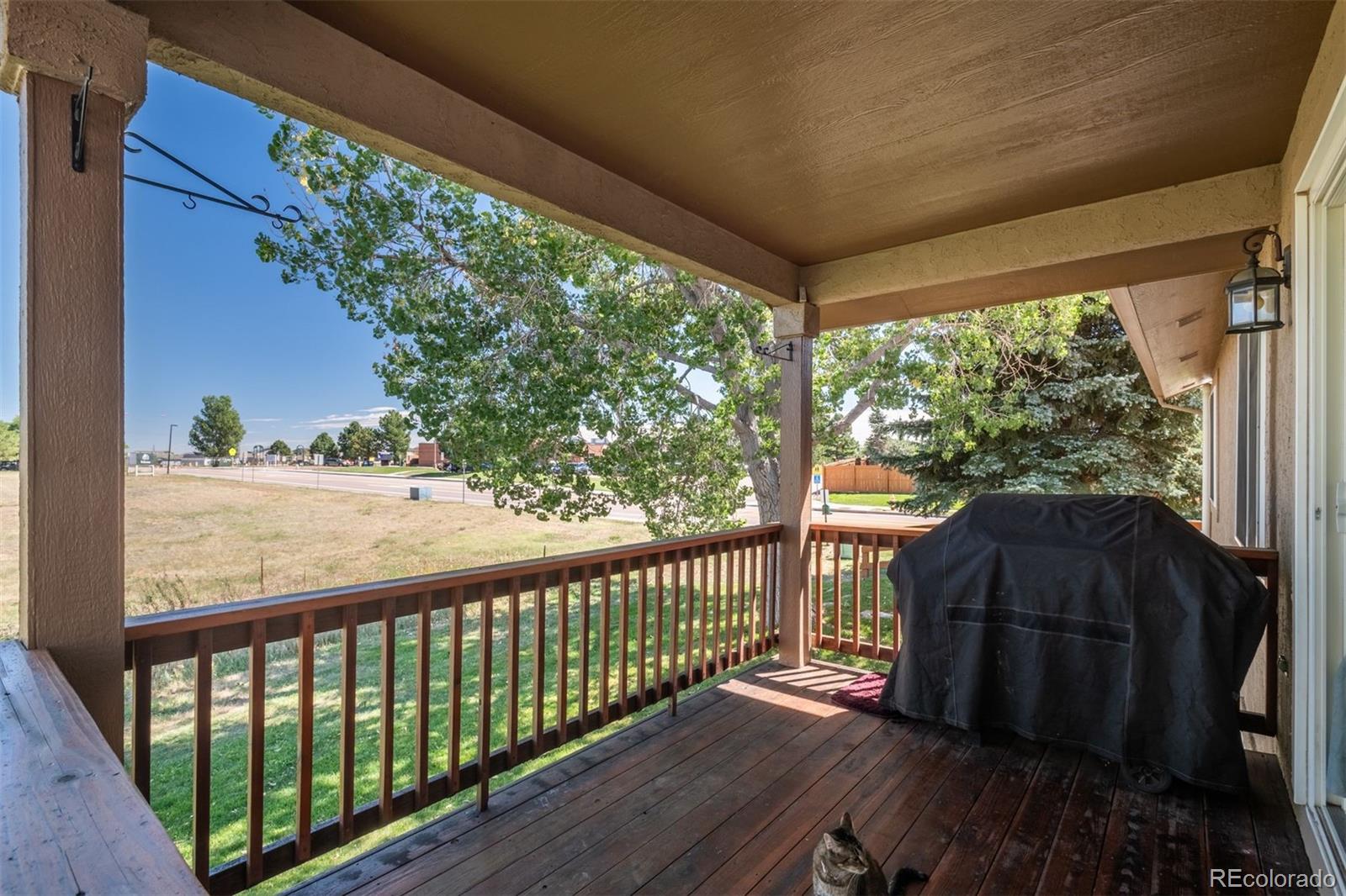 MLS Image #4 for 251  las lunas street,castle rock, Colorado