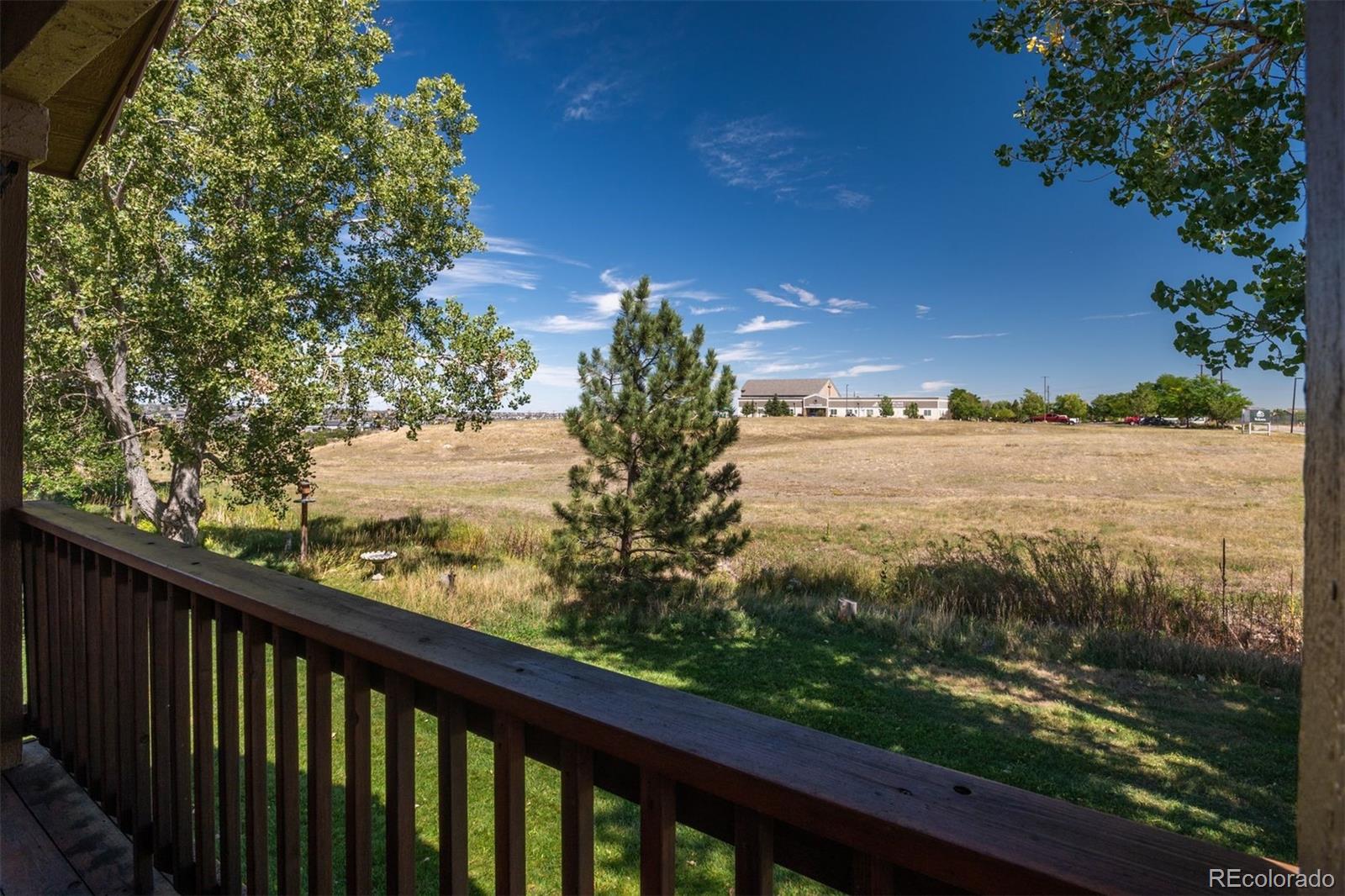 MLS Image #5 for 251  las lunas street,castle rock, Colorado