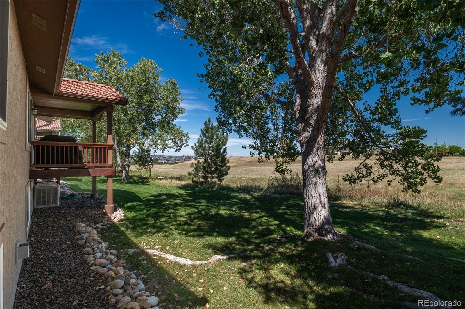 MLS Image #6 for 251  las lunas street,castle rock, Colorado