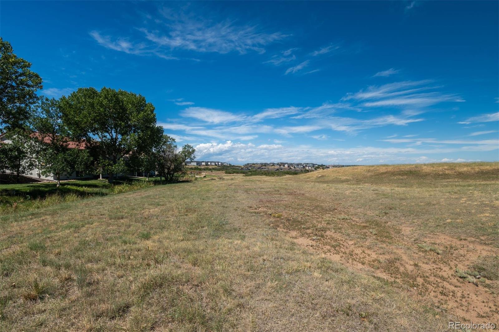 MLS Image #7 for 251  las lunas street,castle rock, Colorado