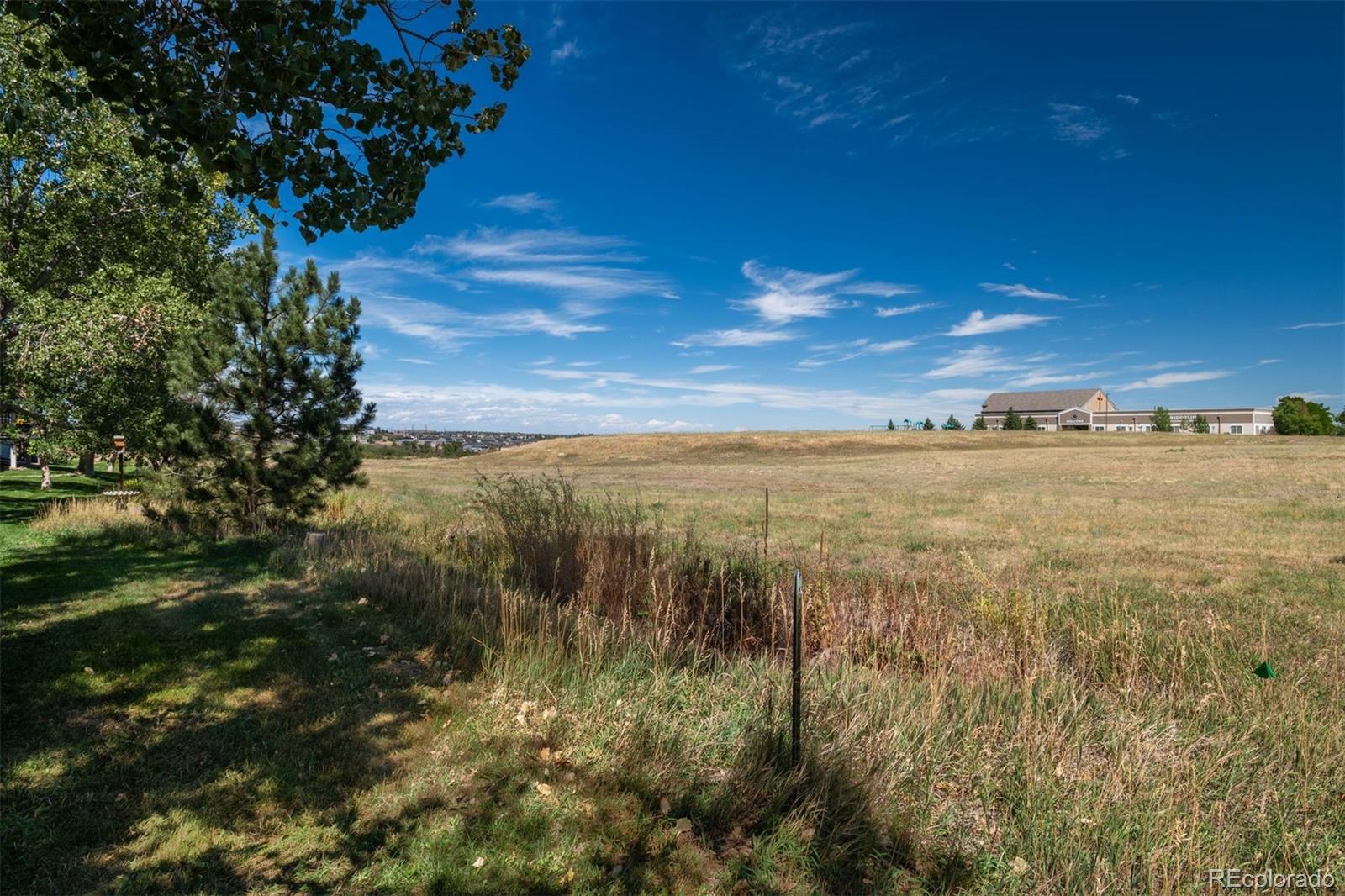 MLS Image #8 for 251  las lunas street,castle rock, Colorado
