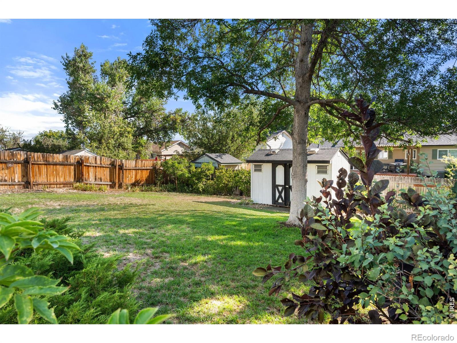 MLS Image #22 for 1936  cottonwood street,broomfield, Colorado