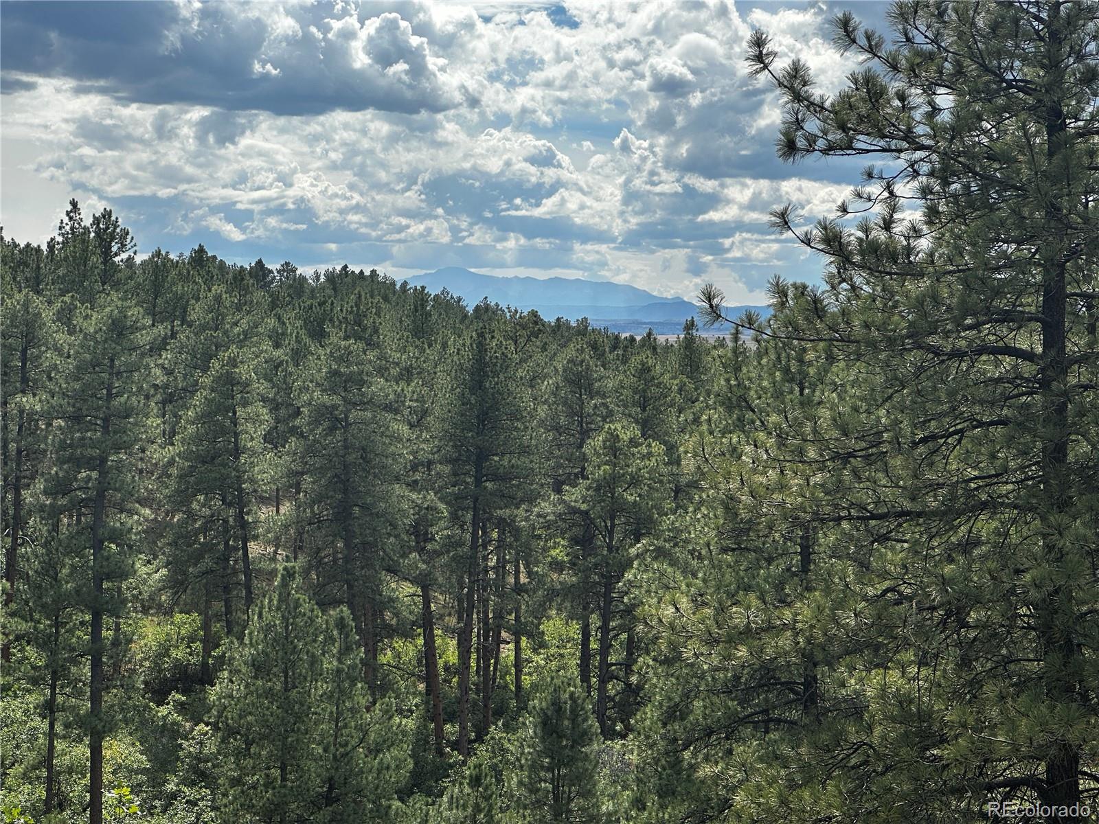MLS Image #4 for 10996  deerfield road,franktown, Colorado