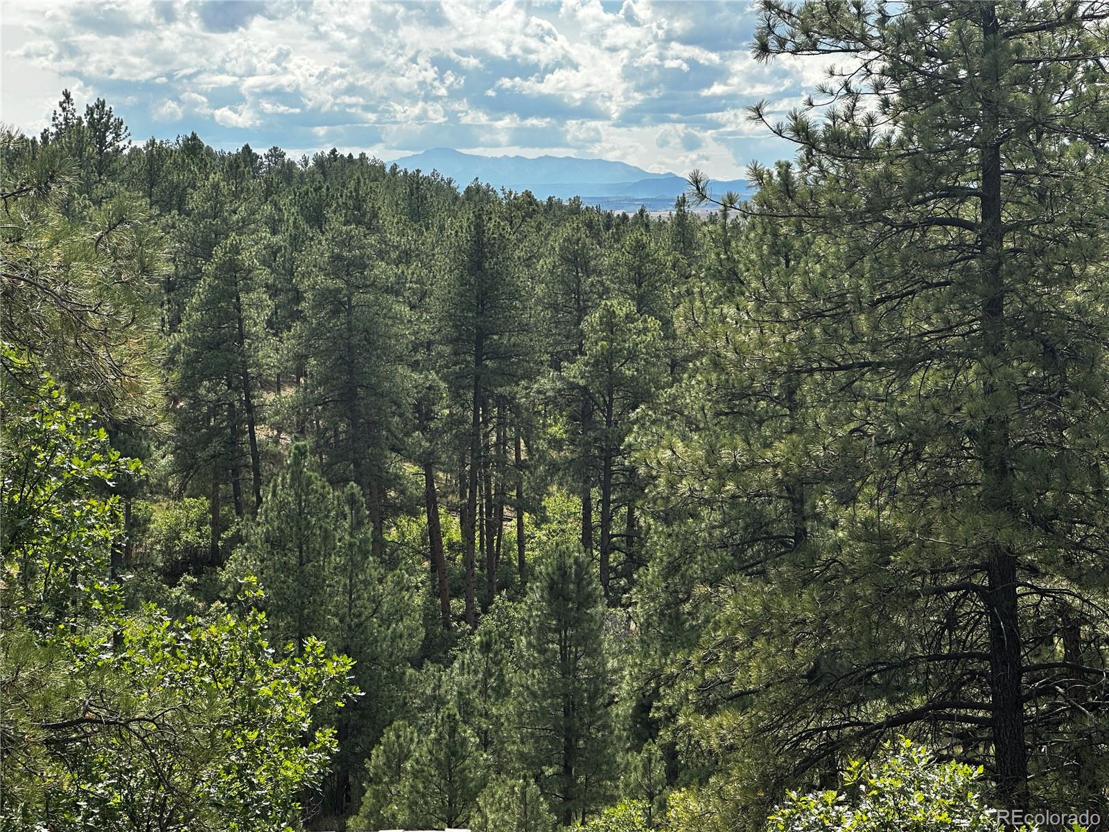 MLS Image #40 for 10996  deerfield road,franktown, Colorado
