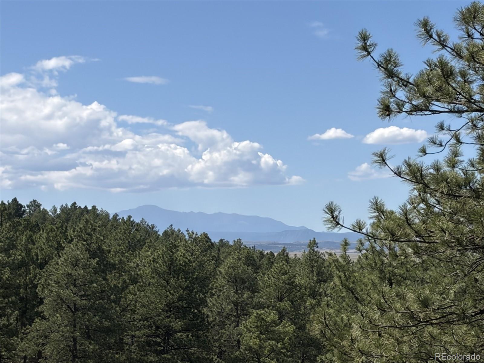MLS Image #5 for 10996  deerfield road,franktown, Colorado