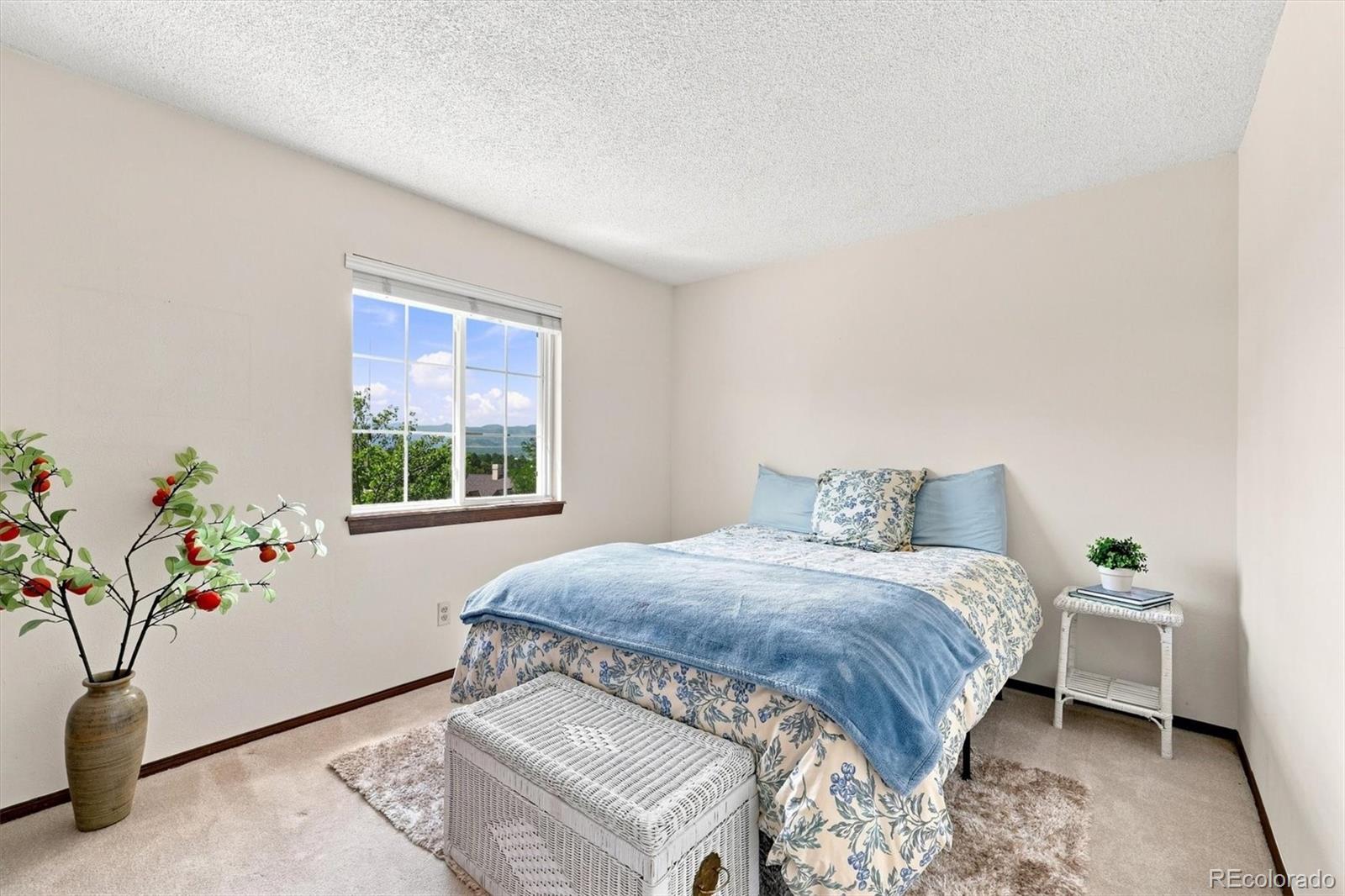 MLS Image #22 for 7631 s bemis street,littleton, Colorado
