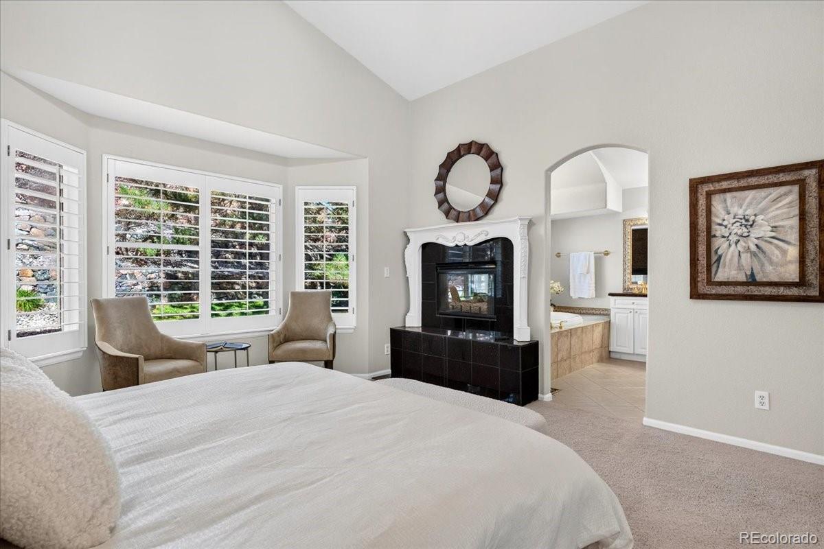 MLS Image #16 for 9569  silver hill circle,lone tree, Colorado