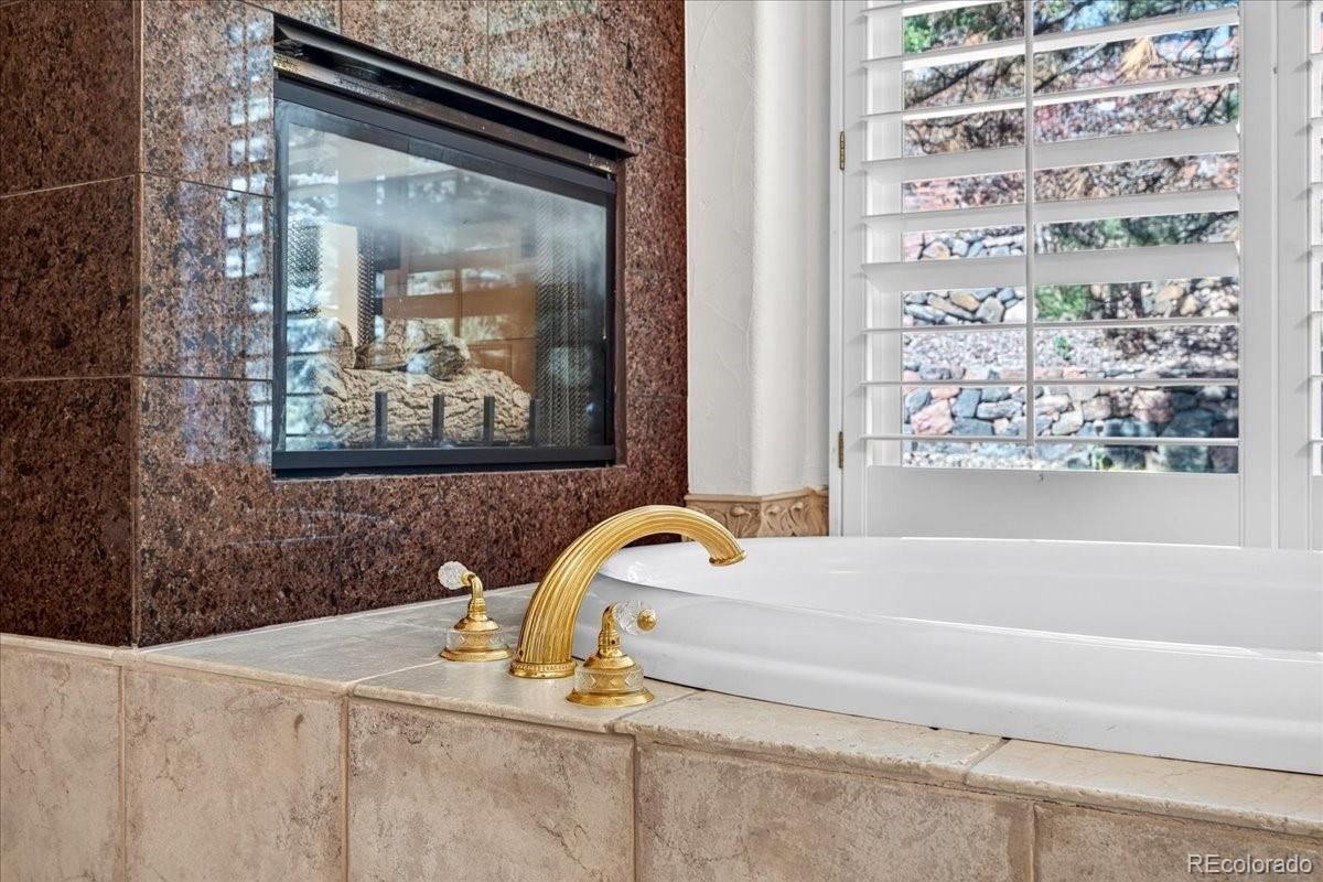 MLS Image #18 for 9569  silver hill circle,lone tree, Colorado