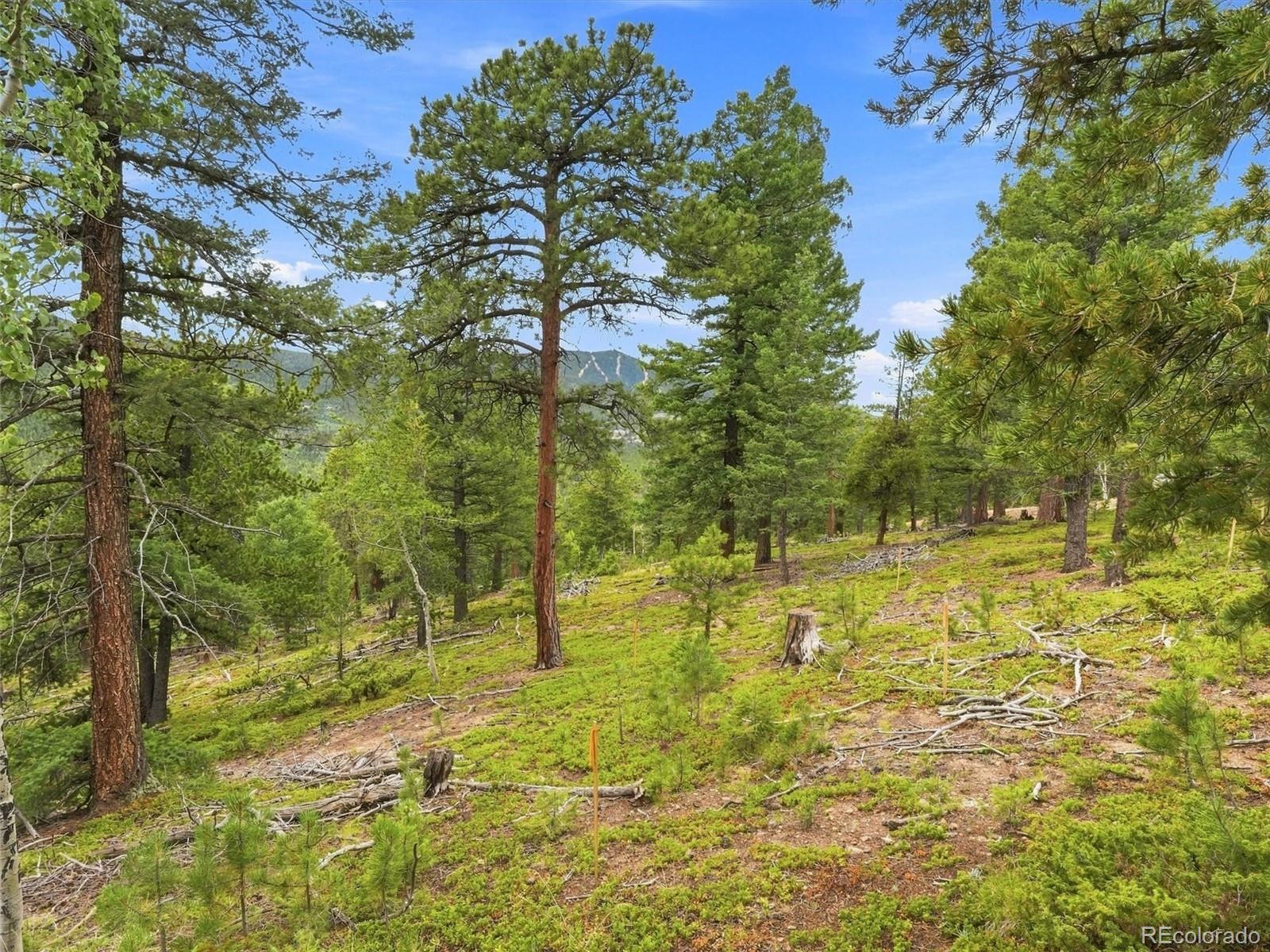 MLS Image #19 for 31004  forest shadow trail,conifer, Colorado