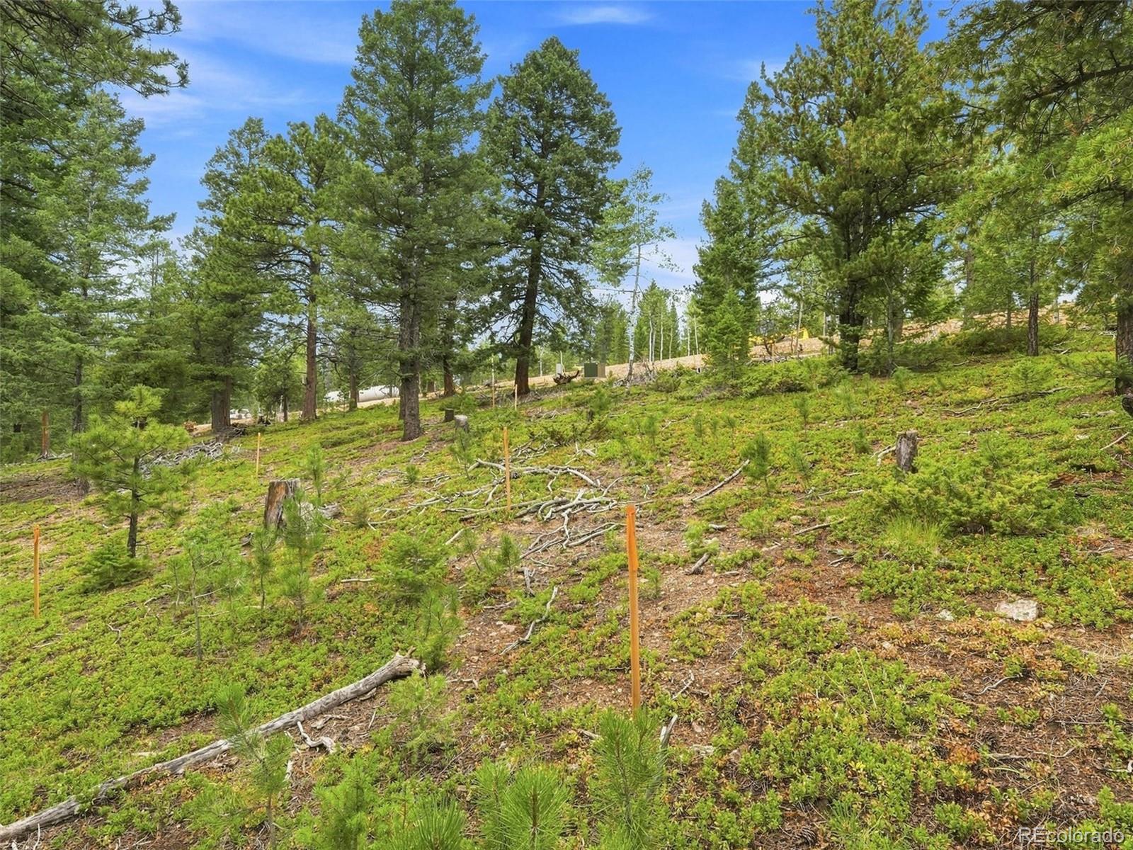 MLS Image #20 for 31004  forest shadow trail,conifer, Colorado