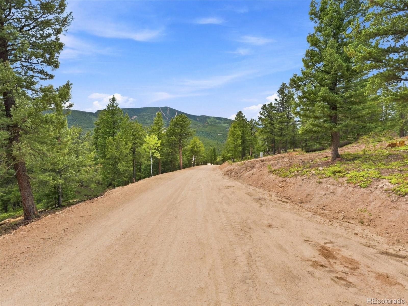 MLS Image #23 for 31004  forest shadow trail,conifer, Colorado