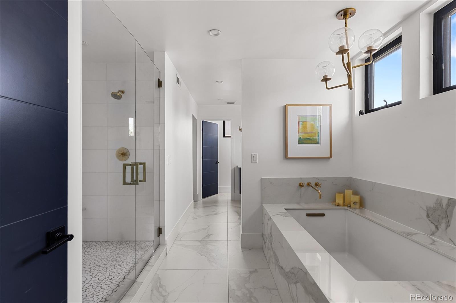 MLS Image #20 for 1035 s columbine street,denver, Colorado