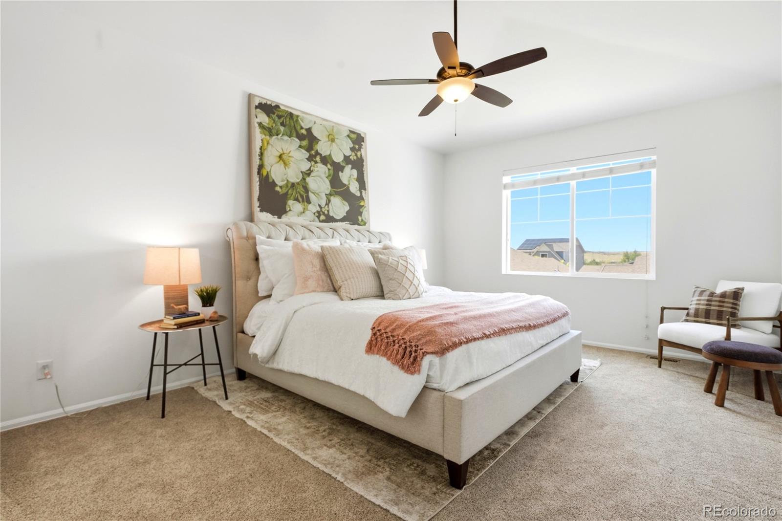 MLS Image #12 for 11379  lovage way,parker, Colorado