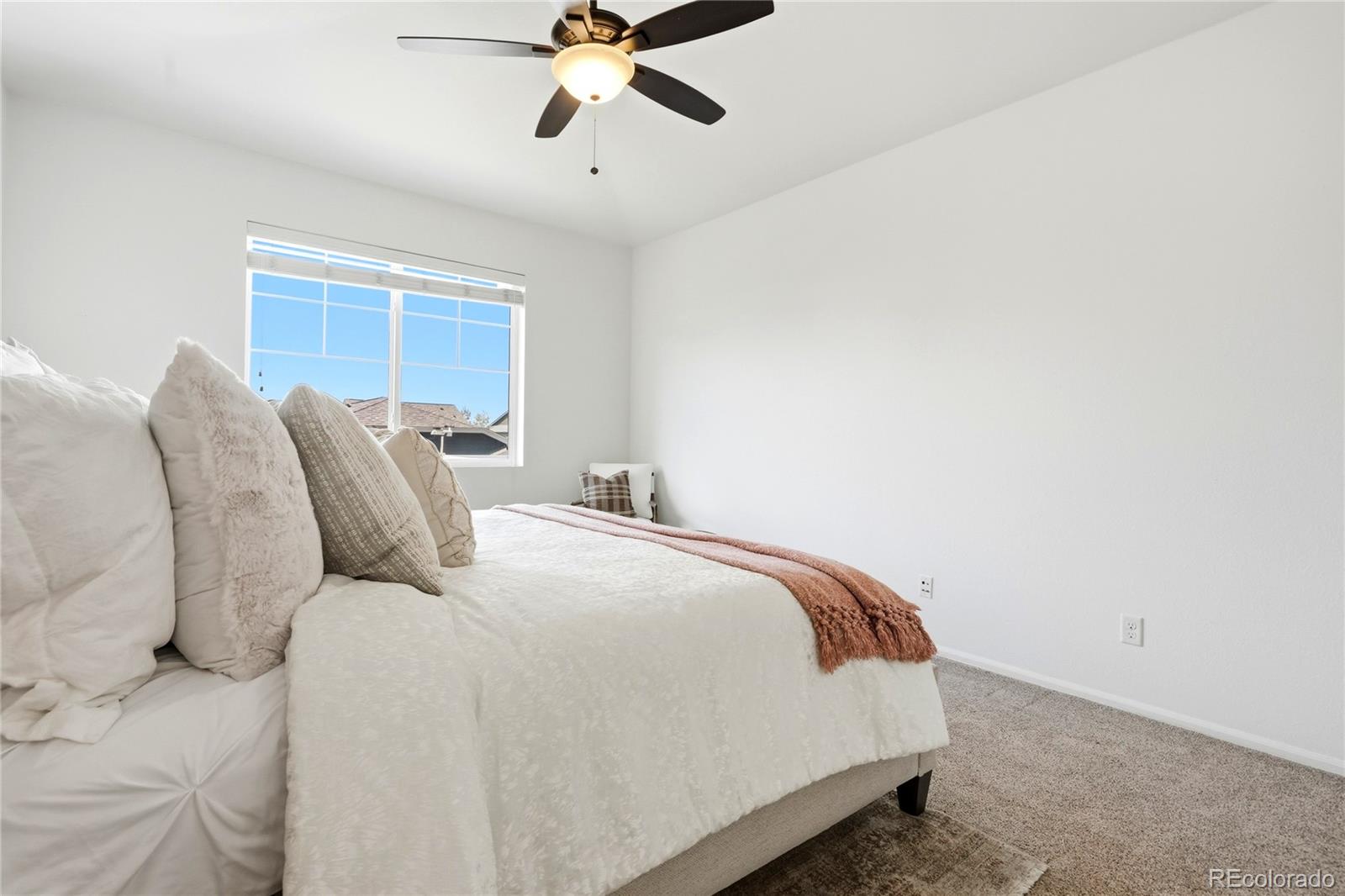 MLS Image #13 for 11379  lovage way,parker, Colorado