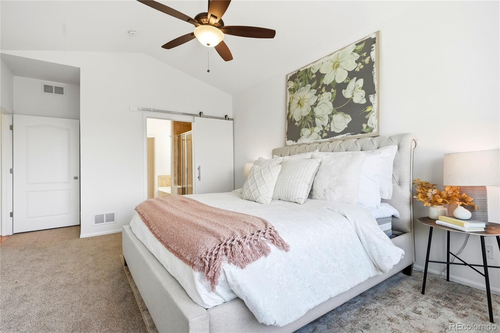 MLS Image #14 for 11379  lovage way,parker, Colorado