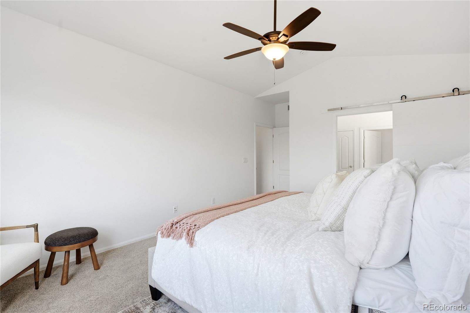 MLS Image #15 for 11379  lovage way,parker, Colorado